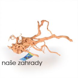Spider wood L 50-70cm