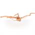 Spider wood XL  71-90cm