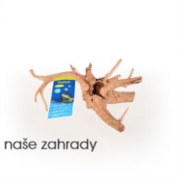 Kořen Azalea Root S
