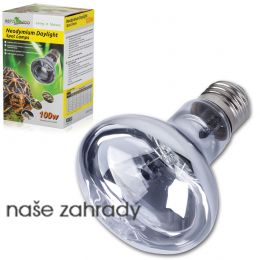 Žárovka Neodymium Daylight ReptiZoo 100W