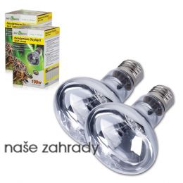 ReptiZoo Neodymium Daylight žárovka 100W SET 1+1 ZDARMA