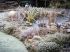 Winter Pond 1000 g