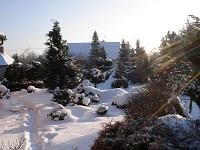 zahrada/dsc05587.jpg